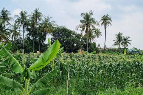 Land in Pattaya, Thailand 6400 sq.m. № 172119 - photo 5