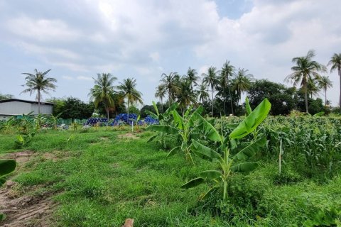 Land in Pattaya, Thailand 6400 sq.m. № 172119 - photo 4