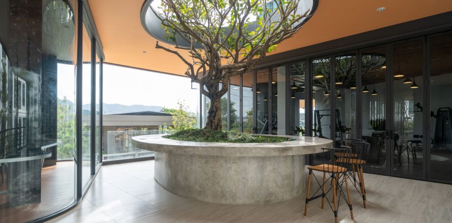 Студия в Пхукет, Таиланд № 153194