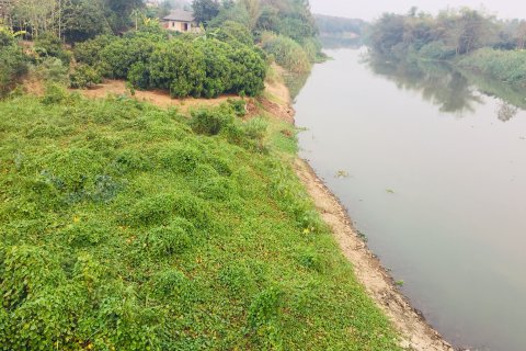 Terrain à San Pa Tong, Thaïlande 3200 m2 № 167788 - photo 5