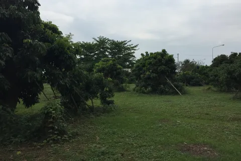 Terrain à San Pa Tong, Thaïlande 3200 m2 № 167788 - photo 2