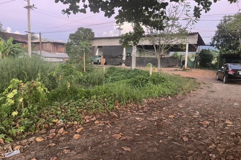 Land in Nan, Thailand 552 sq.m. № 156943 - photo 3