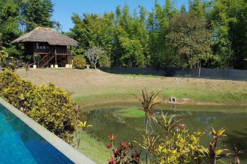 Propriété commerciale à Chiang Mai, Thaïlande 380 m2 № 162819 - photo 11