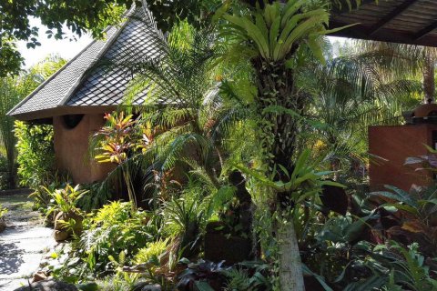 Коммерческая недвижимость в Чиангмае, Таиланд 380м2  № 162819 - фото 2