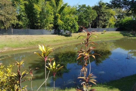 Propriété commerciale à Chiang Mai, Thaïlande 380 m2 № 162819 - photo 20