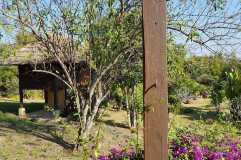 Propriété commerciale à Chiang Mai, Thaïlande 380 m2 № 162819 - photo 10