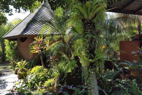 Propriété commerciale à Chiang Mai, Thaïlande 380 m2 № 162819 - photo 2