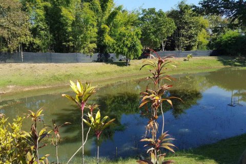 Коммерческая недвижимость в Чиангмае, Таиланд 380м2  № 162819 - фото 20