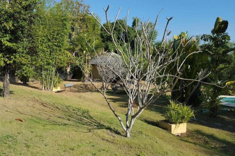 Propriété commerciale à Chiang Mai, Thaïlande 380 m2 № 162819 - photo 6