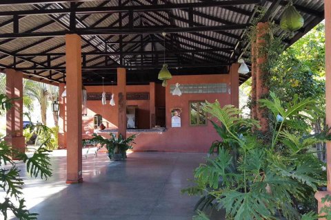 Propriété commerciale à Chiang Mai, Thaïlande 380 m2 № 162819 - photo 5