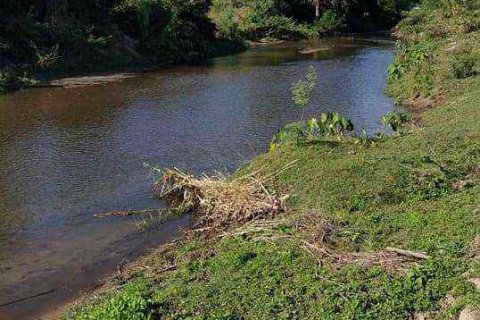 Земельный участок в Чиангмае, Таиланд  № 162825 - фото 6