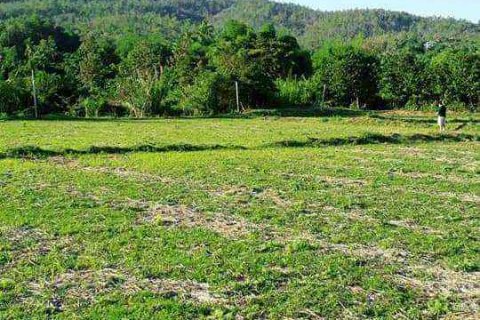 Земельный участок в Чиангмае, Таиланд  № 162825 - фото 2