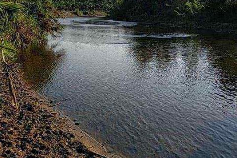 Terrain à Chiang Mai, Thaïlande № 162825 - photo 5