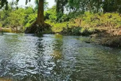 Terrain à Chiang Mai, Thaïlande № 162825 - photo 8