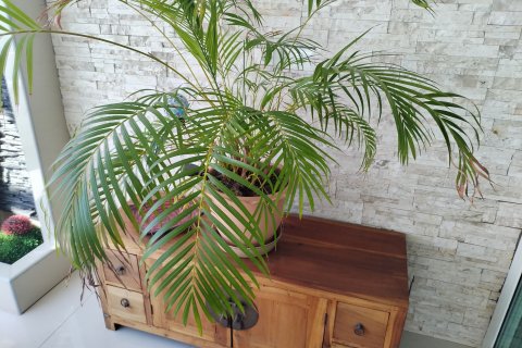 Студия в кондо в Паттайе, Таиланд № 145224 - фото 18