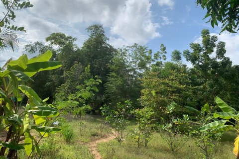 Maison à Pattaya, Thaïlande 2 chambres № 155628 - photo 16