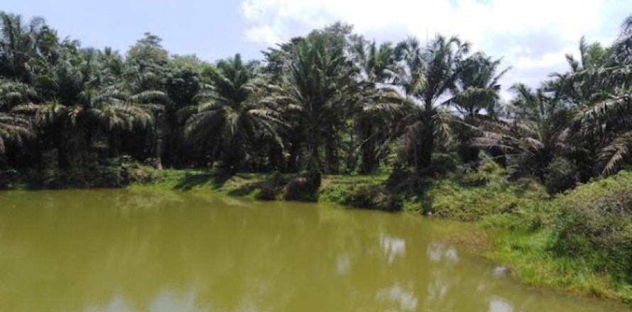 Terrain à Phang Nga, Thaïlande 62400 m2 № 193572