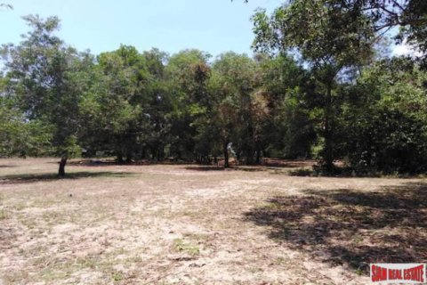 Terrain à Phang Nga, Thaïlande 15840 m2 № 193566 - photo 5