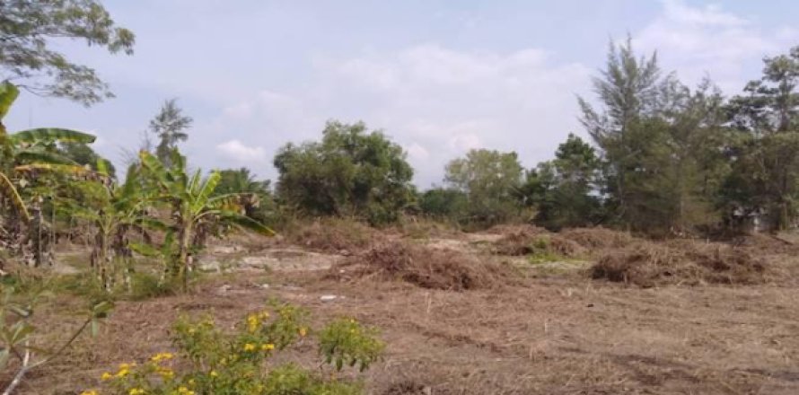 Terrain à Phang Nga, Thaïlande 13412.5 m2 № 193571