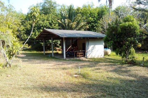 Land in Chumphon, Thailand 7500 sq.m. № 144885 - photo 21