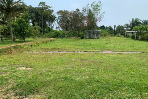 Land in Chumphon, Thailand 7500 sq.m. № 144885 - photo 26