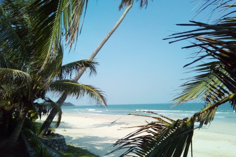 Land in Chumphon, Thailand 7500 sq.m. № 144885 - photo 23