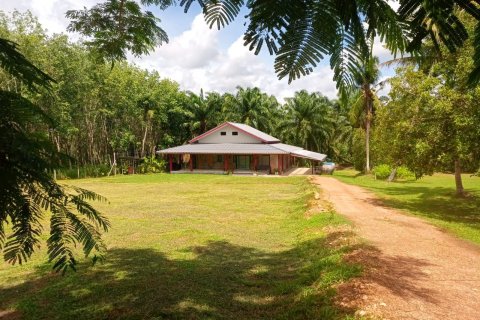 Land in Chumphon, Thailand 7500 sq.m. № 144885 - photo 1