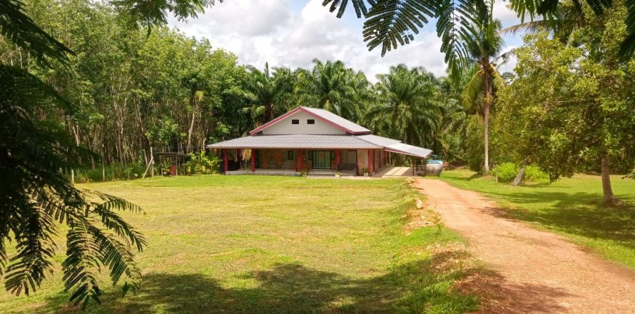 Land in Chumphon, Thailand 7500 sq.m. № 144885