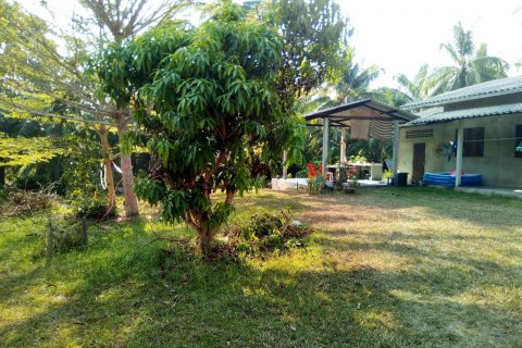 Land in Chumphon, Thailand 7500 sq.m. № 144885 - photo 17