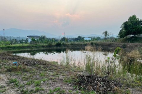 Land in Mae Rim, Thailand № 152402 - photo 6