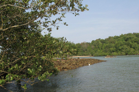 Terrain à Phang Nga, Thaïlande 14141 m2 № 154854 - photo 5