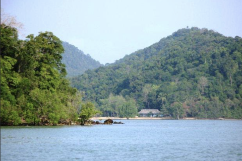 Terrain à Phang Nga, Thaïlande 14141 m2 № 154854 - photo 7