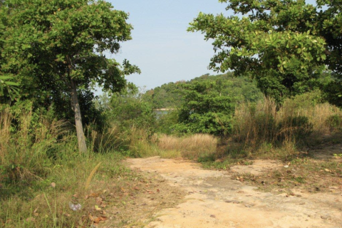 Terrain à Phang Nga, Thaïlande 14141 m2 № 154854 - photo 6