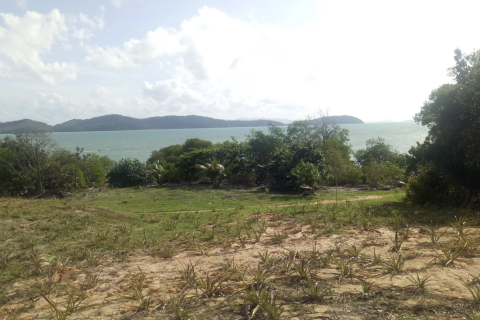 Terrain à Phang Nga, Thaïlande 14141 m2 № 154854 - photo 12