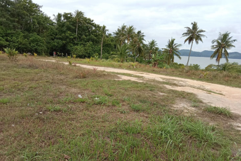 Terrain à Phang Nga, Thaïlande 14141 m2 № 154854 - photo 8