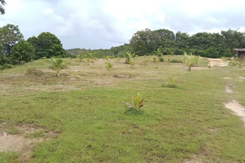 Terrain à Phang Nga, Thaïlande 14141 m2 № 154854 - photo 9