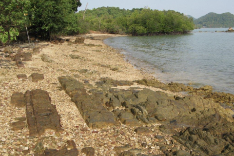 Terrain à Phang Nga, Thaïlande 14141 m2 № 154854 - photo 3