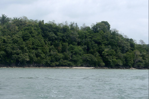 Terrain à Phang Nga, Thaïlande 14141 m2 № 154854 - photo 14