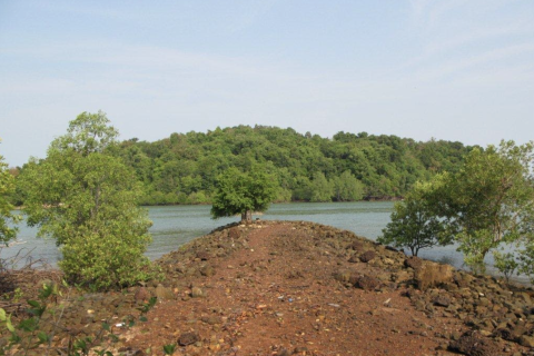 Terrain à Phang Nga, Thaïlande 14141 m2 № 154854 - photo 4
