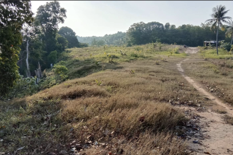 Terrain à Phang Nga, Thaïlande 14141 m2 № 154854 - photo 11