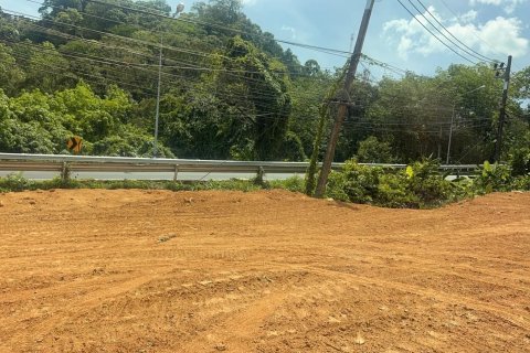 Земельный участок в Пхукете, Таиланд 9600м2 № 142742