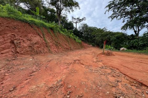 Земельный участок в Пхукете, Таиланд 9600м2 № 142742 - фото 10