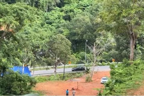 Земельный участок в Пхукете, Таиланд 9600м2 № 142742 - фото 8