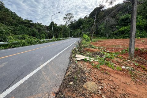 Земельный участок в Пхукете, Таиланд 9600м2 № 142742 - фото 9