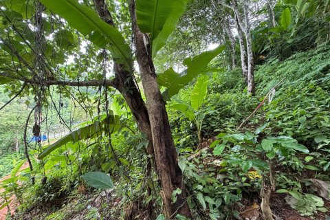 Земельный участок в Пхукете, Таиланд 9600м2 № 142742 - фото 3