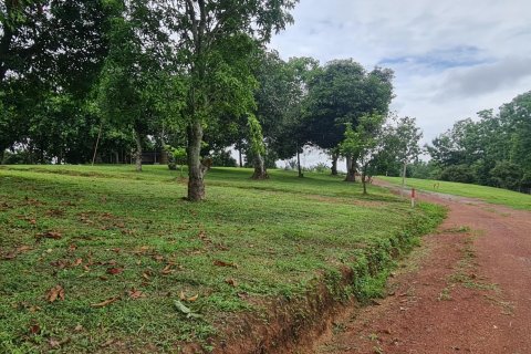 Земельный участок в Чианграе, Таиланд 1600м2 № 152901 - фото 13