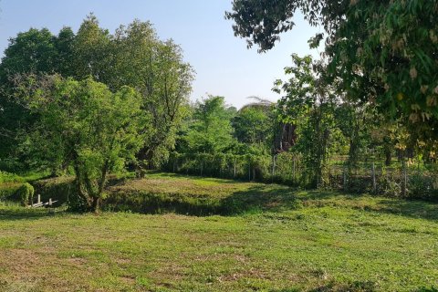 Земельный участок в Чианграе, Таиланд 1600м2 № 152901 - фото 25