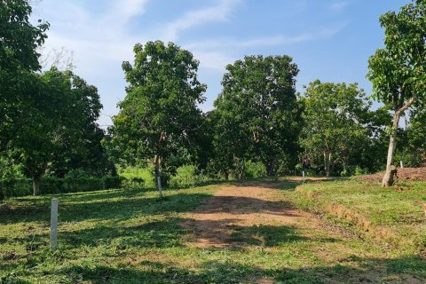 Земельный участок в Чианграе, Таиланд 1600м2 № 152901 - фото 26