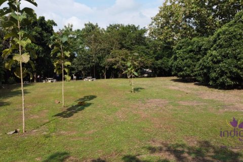 Земельный участок в Чиангмае, Таиланд  № 162530 - фото 12