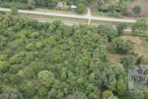 Земельный участок в Чиангмае, Таиланд  № 162529 - фото 2